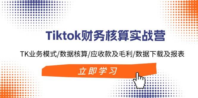 Tiktok财务核算实战营：TK业务模式/数据核算/应收款及毛利/数据下载及报表|小鸡网赚博客