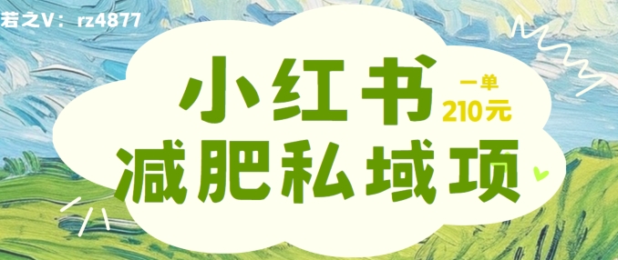 小红书减肥粉，私域变现项目，一单就达210元，小白也能轻松上手【揭秘】|小鸡网赚博客