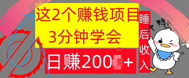 这2个项目，3分钟学会，日赚几张，懒人捡钱|小鸡网赚博客