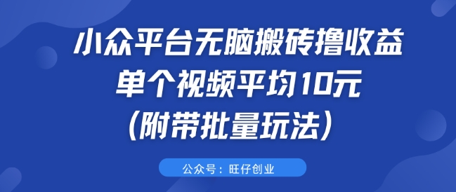 小众平台无脑搬砖撸收益 单个视频平均10元 (附带批量玩法)|小鸡网赚博客