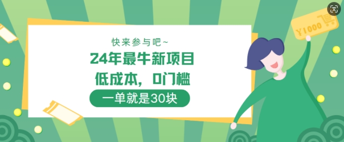 24年最牛新项目，低成本，0门槛 ，一单就是30块，轻松月入1w|小鸡网赚博客