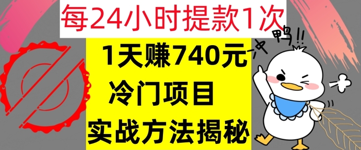 1天赚740元，24小时提款1次，冷门项目，实战方法公开【干货】|小鸡网赚博客