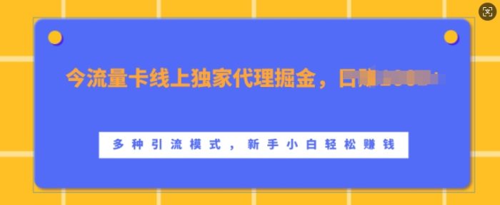 流量卡线上独家代理掘金，日入1k+ ，多种引流模式，新手小白轻松上手【揭秘】|小鸡网赚博客