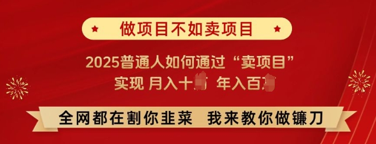 必看!做项目不如卖项目，2025普通人如何通过“卖项目”实现月入十个，年入百个【揭秘】|小鸡网赚博客