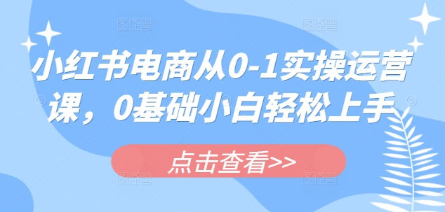 小红书电商从0-1实操运营课，0基础小白轻松上手|小鸡网赚博客