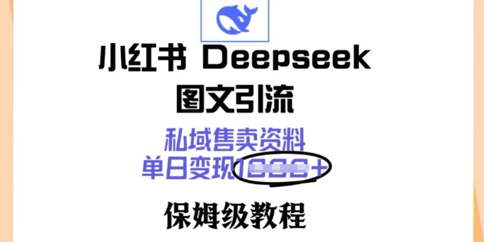 小红书Deepseek图文引流，私域售卖资料，单日变现多张，保姆级教程|小鸡网赚博客