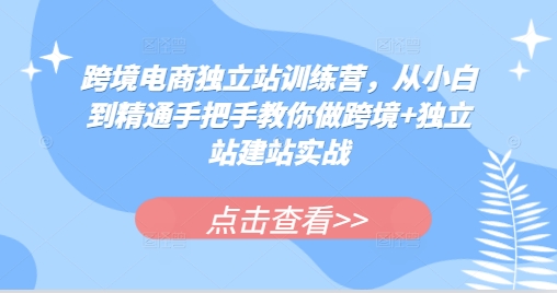 跨境电商独立站训练营，从小白到精通手把手教你做跨境+独立站建站实战|小鸡网赚博客