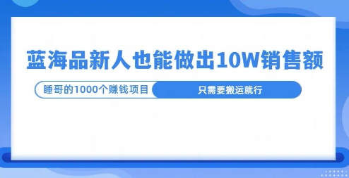 这个蓝海品，新号也能卖出10W的销售额，年底疯狂怼量就能出结果|小鸡网赚博客