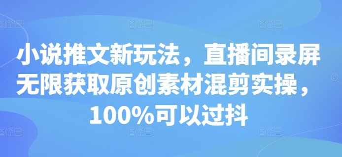 小说推文新玩法，直播间录屏无限获取原创素材混剪实操，100%可以过抖|小鸡网赚博客