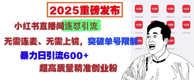 2025重磅发布：小红书直播间连怼引流，无需连麦、无需上镜，突破单号限制，暴力日引流600+|小鸡网赚博客