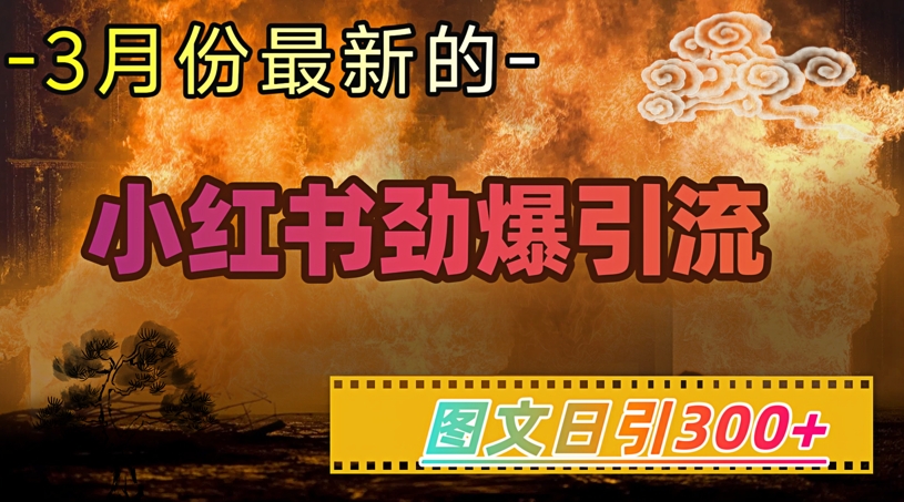 小红书超劲爆引流手段，图文日引300+轻松变现1W|小鸡网赚博客