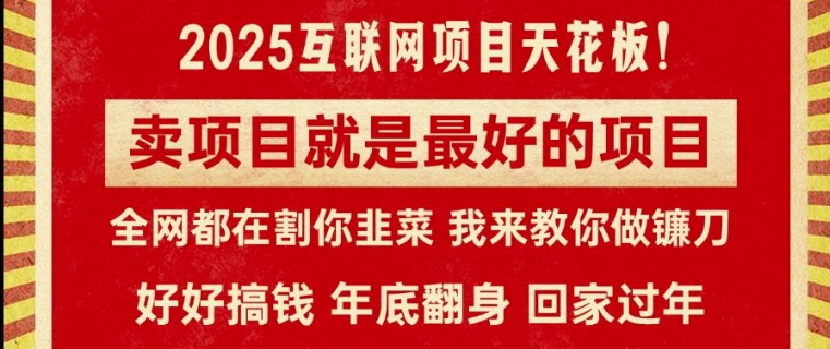 卖项目就是最好的项目，2025年互联网项目天花板|小鸡网赚博客