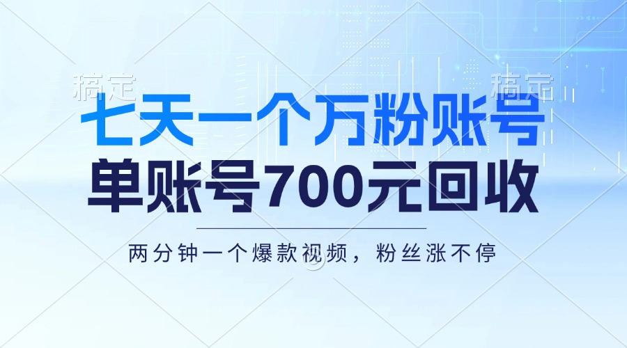 （13062期）七天一个万粉账号，新手小白秒上手，单账号回收700元，轻松月入三万＋|小鸡网赚博客