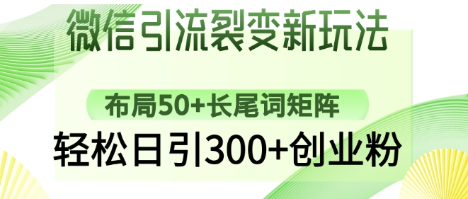 微信引流裂变新玩法：布局50+长尾词矩阵，轻松日引300+创业粉|小鸡网赚博客