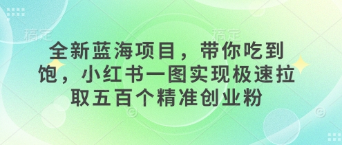 全新蓝海项目，带你吃到饱，小红书一图实现极速拉取五百个精准创业粉|小鸡网赚博客