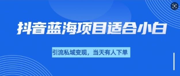 抖音蓝海小赛道私域变现项目，单价9.9单天变现100+，实操玩法分享给你|小鸡网赚博客