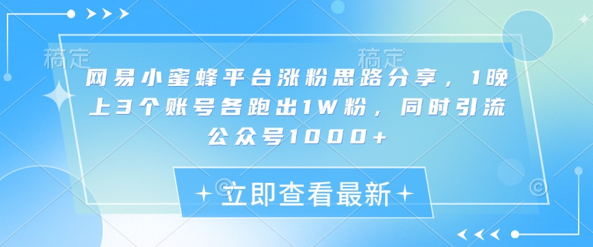 网易小蜜蜂平台涨粉思路分享，1晚上3个账号各跑出1W粉，同时引流公众号1000+|小鸡网赚博客