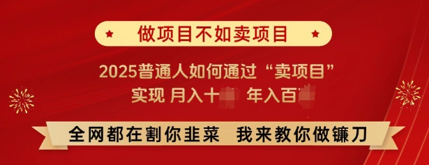 必看，做项目不如卖项目，2025普通人如何通过“卖项目”实现月入十个，年入百个|小鸡网赚博客