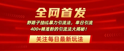 全网首发，野路子暴力引流法，单日引流400+精准粉的引流法大揭秘|小鸡网赚博客