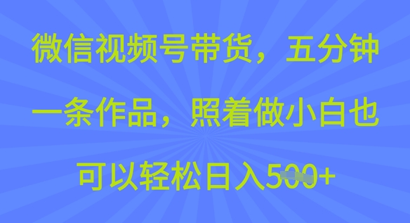 微信视频号带货，五分钟一条作品，照着做小白也可以轻松日入5张|小鸡网赚博客