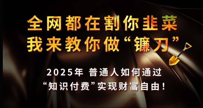 全网都在割你韭菜，我来教你做镰刀，2025年普通人如何通过 知识付费 实现财F自由【揭秘】|小鸡网赚博客