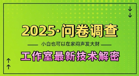 2025问卷调查最新工作室技术解密：一个人在家也可以闷声发大财，小白一天2张，可矩阵放大【揭秘】|小鸡网赚博客