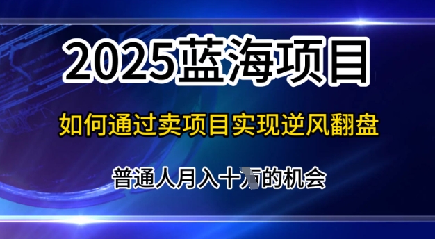 2025蓝海项目，普通人如何通过卖项目实现逆风翻盘，月入10个【揭秘】|小鸡网赚博客