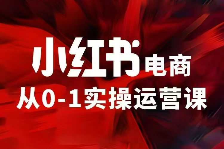 小红书电商运营，97节小红书vip内部课，带你实现小红书赚钱|小鸡网赚博客