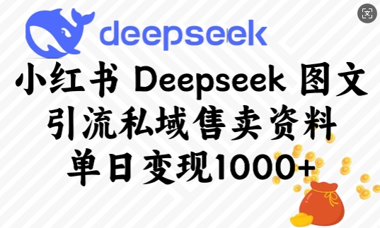 小红书Deepseek图文引流私域售卖资料，单日变现多张|小鸡网赚博客