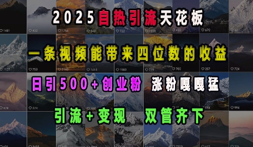 2025自热引流天花板，一条视频能带来四位数的收益，引流+变现双管齐下，日引500+创业粉，涨粉嘎嘎猛|小鸡网赚博客