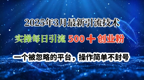 2025年3月最新引流技术，实操每日引流500+创业粉，一个被忽略的平台，操作简单不封号|小鸡网赚博客