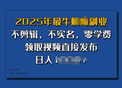 ​2025年最牛副业，不剪辑，不实名，零学费，零粉可做，领取视频直接发布，有播放就有收益|小鸡网赚博客