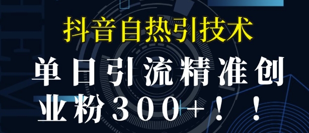 抖音自热引流，单日引流精准创业粉300+|小鸡网赚博客