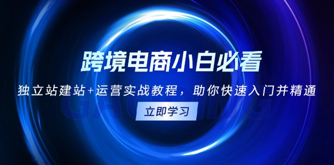 （13503期）跨境电商小白必看！独立站建站+运营实战教程，助你快速入门并精通|小鸡网赚博客