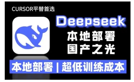 2025年deepseek R1 大型模型本地安装部署(文件+教程)本地部署，超低训练成本|小鸡网赚博客