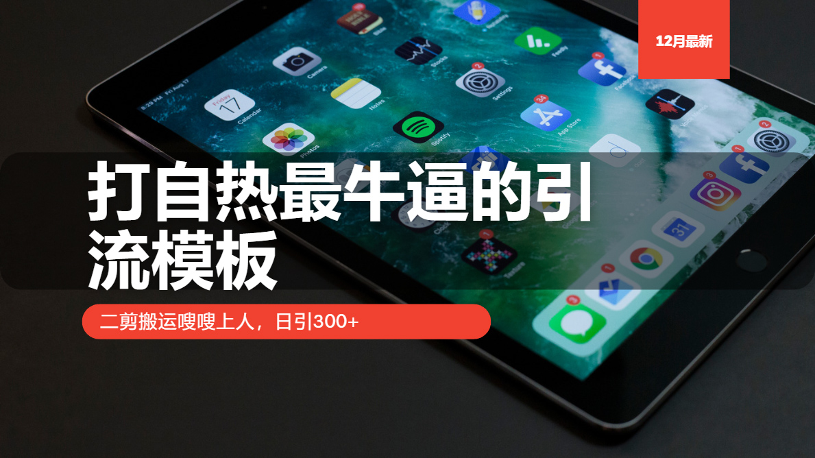 （13654期）打自热最牛逼的引流模板，二剪搬运嗖嗖上人，日引300+|小鸡网赚博客