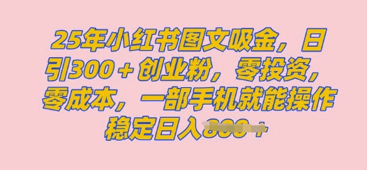 2025年小红书创业粉图文自热教程，日+300创业粉，单日变现多张，无脑操作，宝妈，小白抓紧冲|小鸡网赚博客