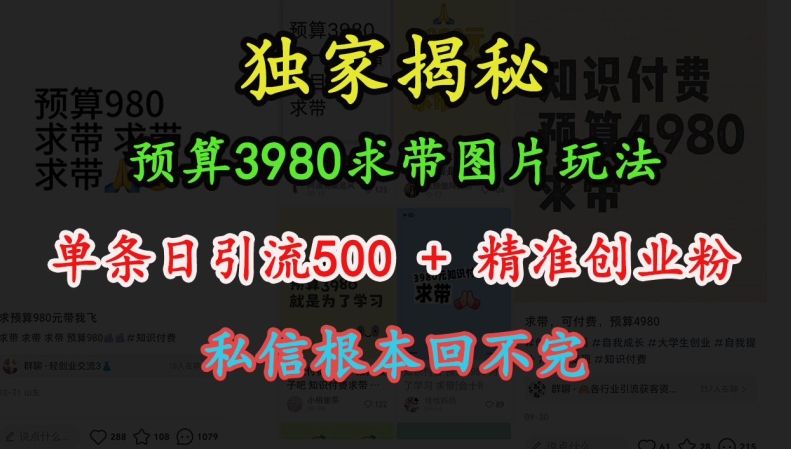 预算3980求带 图片玩法，单条日引流500+精准创业粉，私信根本回不完|小鸡网赚博客