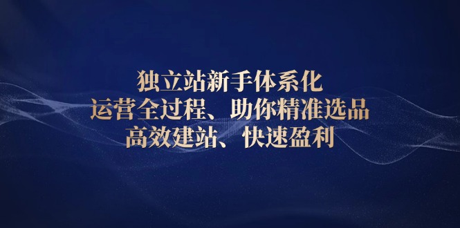 （13914期）独立站新手体系化 运营全过程，助你精准选品、高效建站、快速盈利|小鸡网赚博客