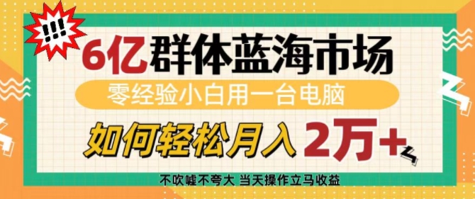 6亿群体蓝海市场，零经验小白用一台电脑，如何轻松月入过w【揭秘】|小鸡网赚博客