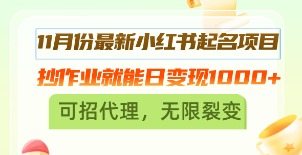 （13256期）11月份最新小红书起名项目，抄作业就能日变现1000+，可招代理，无限裂变|小鸡网赚博客