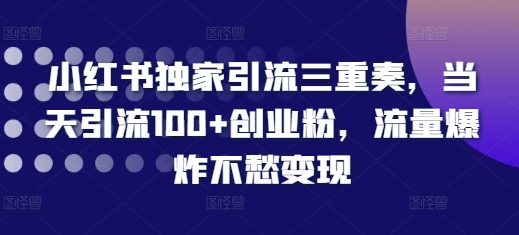 小红书独家引流三重奏，当天引流100+创业粉，流量爆炸不愁变现【揭秘】|小鸡网赚博客