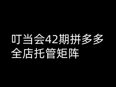 叮当会拼多多打爆班原创高阶技术第42期，拼多多全店托管矩阵|小鸡网赚博客